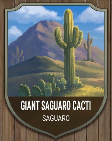 Saguaro Giant Cacti National Parks Badge - Canasta HD