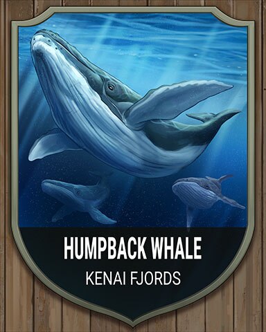Kenai Fjords Humpback Whale National Parks Badge - Mahjong Garden HD