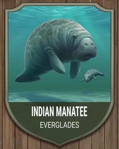 Everglades Indian Manatee National Parks Badge - Mahjong Safari HD