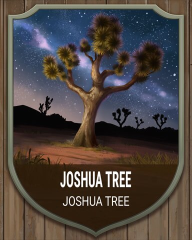 Joshua Tree National Parks Badge - Canasta HD