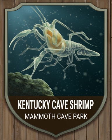 Mammoth Cave Kentucky Cave Shrimp National Parks Badge - World Class Solitaire HD