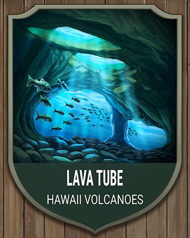 Hawaii Volcanoes Lava Tube National Parks Badge - First Class Solitaire HD