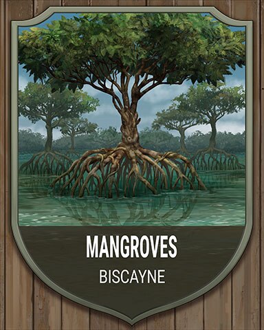 Biscayne Mangroves National Parks Badge - First Class Solitaire HD