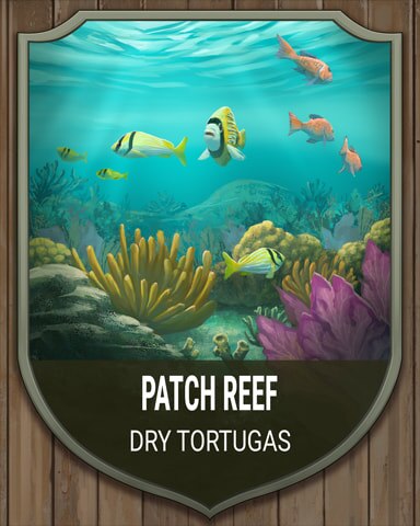 Dry Tortugas Patch Reef National Parks Badge - Jungle Gin HD