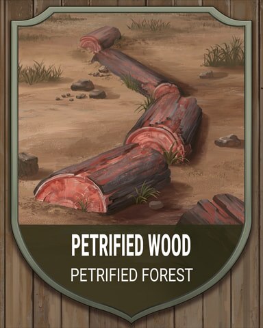 Petrified Forest Wood National Parks Badge - Solitaire Home Story