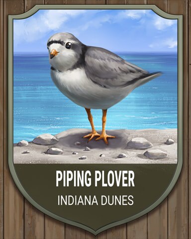 Indiana Dunes Piping Plover National Parks Badge - Jungle Gin HD