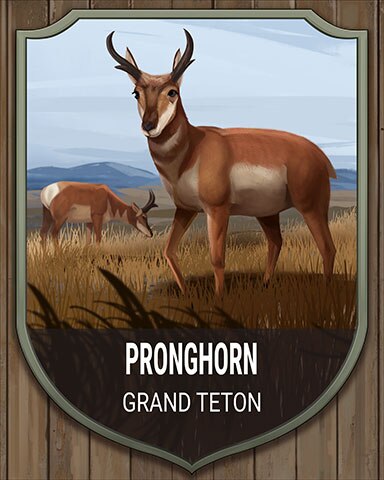 Grand Teton Pronghorn National Parks Badge - Jungle Gin HD