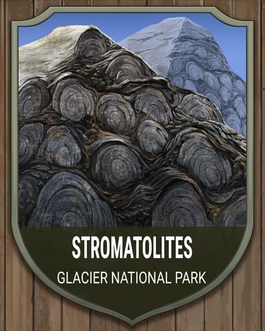 Glacier Stromatolites National Parks Badge - Canasta HD