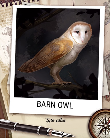 Barn Owl Nocturnal Animal Badge - Mahjong Garden HD