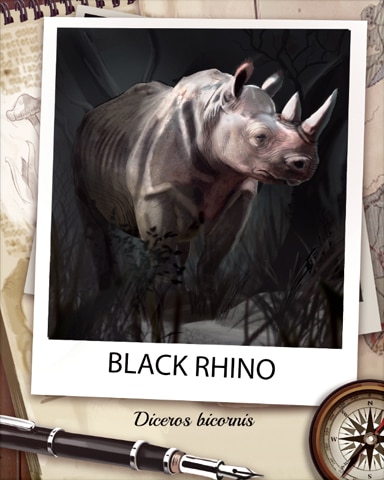 Black Rhino Nocturnal Animal Badge - Spades HD