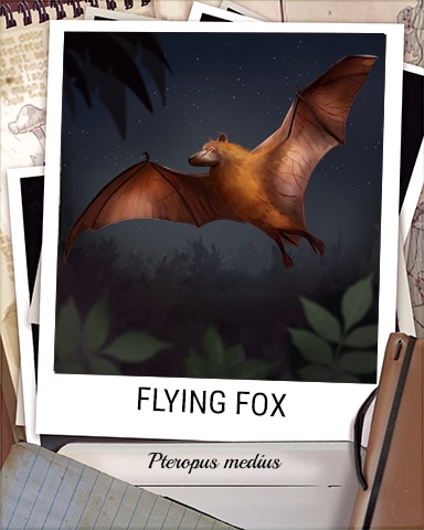 Flying Fox Nocturnal Animal Badge - Snowbird Solitaire