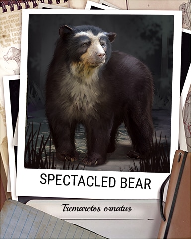 Spectacled Bear Nocturnal Animal Badge - Quinn's Aquarium