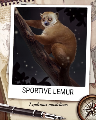 Sportive Lemur Nocturnal Animal Badge - Mahjong Garden HD