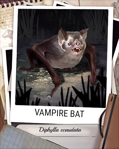 Vampire Bat Nocturnal Animal Badge - Phlinx II