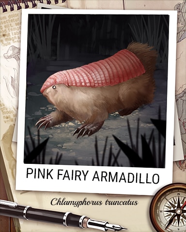 Pink Fairy Armadillo Nocturnal Animal Badge - Tri-Peaks Solitaire HD