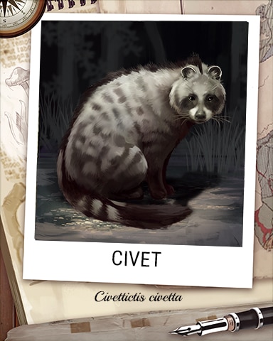 Civet Nocturnal Animal Badge - Peggle Blast HD