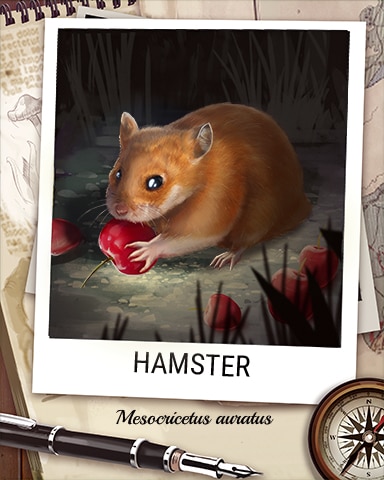 Hamster Nocturnal Animal Badge - Cookie Connect