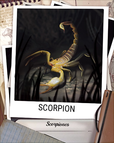 Scorpion Nocturnal Animal Badge - Sweet Tooth Town