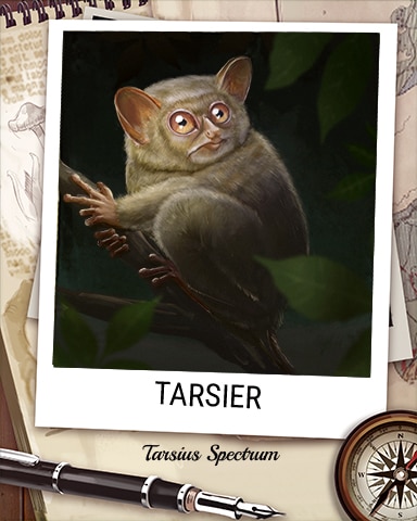 Tarsier Nocturnal Animal Badge - World Class Solitaire HD