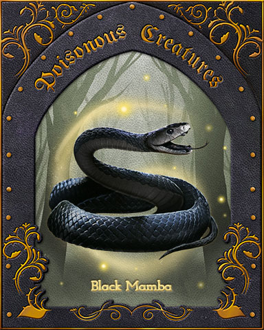 Black Mamba Poisonous Creatures Badge - Word Whomp HD