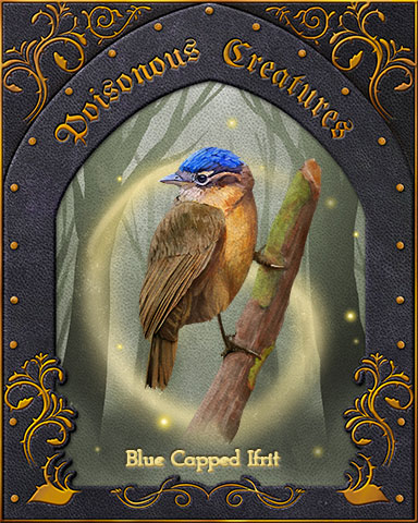 Blue-Capped Ifrit Poisonous Creatures Badge - Spades HD