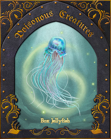 Box Jellyfish Poisonous Creatures Badge - First Class Solitaire HD