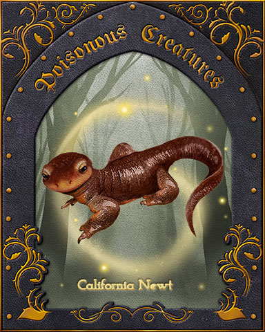 California Newt Poisonous Creatures Badge - Poppit! HD