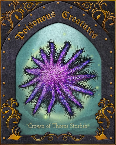 Crown Of Thorns Starfish Poisonous Creatures Badge - First Class Solitaire HD