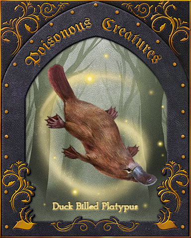 Duck-Billed Platypus Poisonous Creatures Badge - Rainy Day Spider Solitaire HD