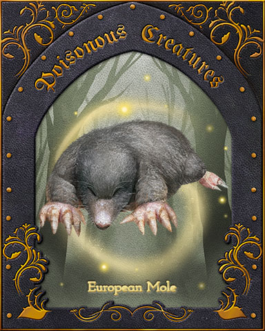 European Mole Poisonous Creatures Badge - Claire Hart: Secret In The Shadows