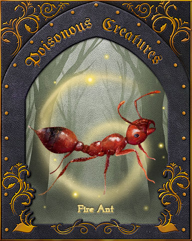 Fire Ant Poisonous Creatures Badge - Canasta HD