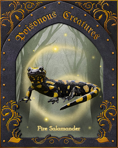 Fire Salamander Poisonous Creatures Badge - First Class Solitaire HD