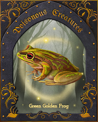 Green Golden Frog Poisonous Creatures Badge - Poppit! Bingo