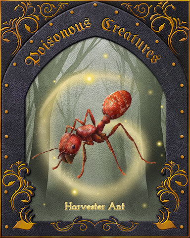 Harvester Ant Poisonous Creatures Badge - First Class Solitaire HD