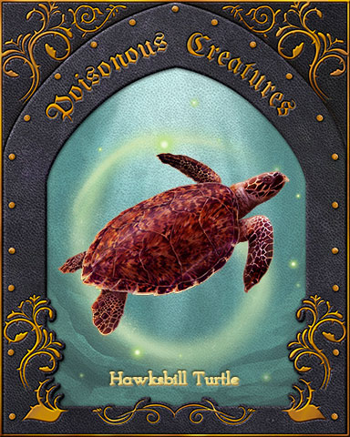 Hawksbill Turtle Poisonous Creatures Badge - StoryQuest