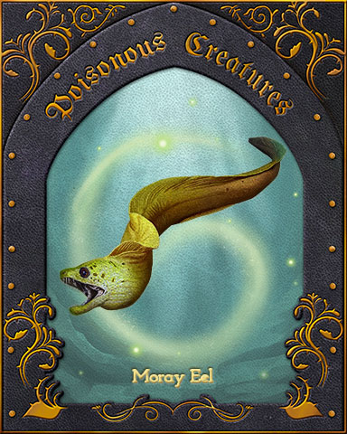 Moray Eel Poisonous Creatures Badge - World Class Solitaire HD