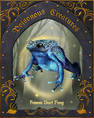 Poison Dart Frog Poisonous Creatures Badge - World Class Solitaire HD