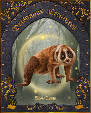 Slow Loris Poisonous Creatures Badge - StoryQuest