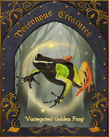 Variegated Golden Frog Poisonous Creatures Badge - Word Whomp HD