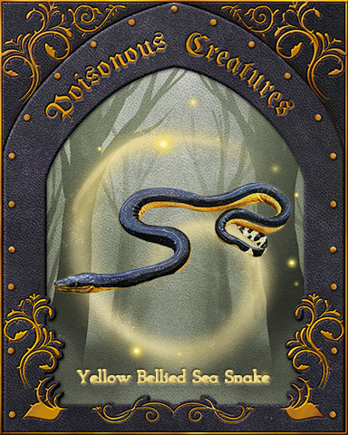 Yellow-Bellied Sea Snake Poisonous Creatures Badge - Tri-Peaks Solitaire HD