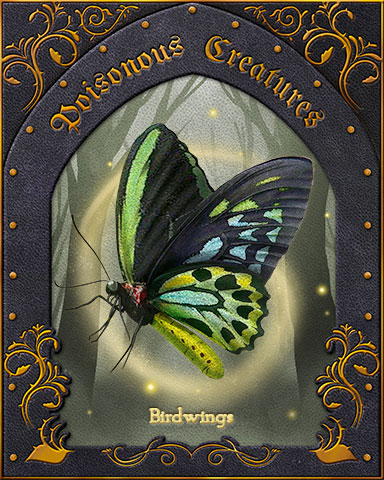 Birdwings Poisonous Creatures Badge - Aces Up! HD