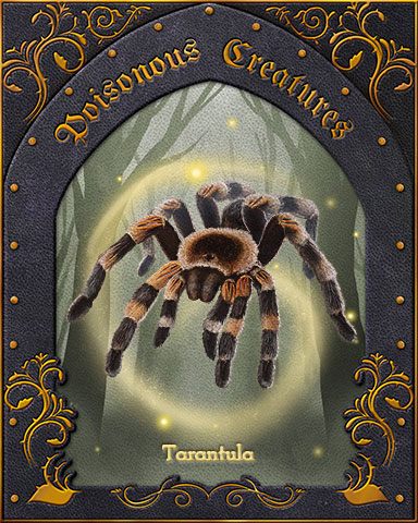 Tarantula Poisonous Creatures Badge - A Way With Words