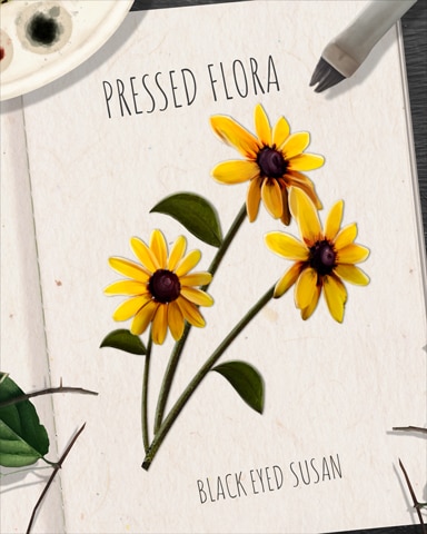 Black-Eyed Susan Pressed Flora Badge - Jungle Gin HD