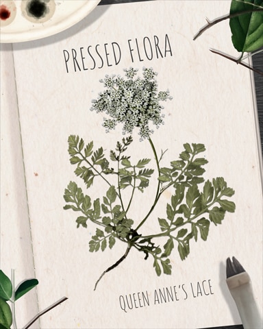 Queen Anne's Lace Pressed Flora Badge - Tri-Peaks Solitaire HD