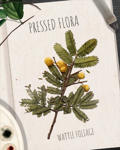 Wattle Foliage Pressed Flora Badge - Claire Hart Classic