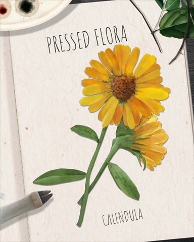 Calendula Pressed Flora Badge - Claire Hart: Secret In The Shadows