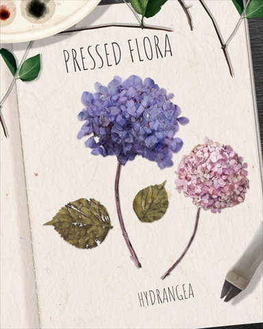 Hydrangea Pressed Flora Badge - Cross Country Adventure