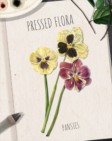 Pansies Pressed Flora Badge - Canasta HD