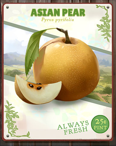 Asian Pear Produce Badge - Sweet Tooth Town