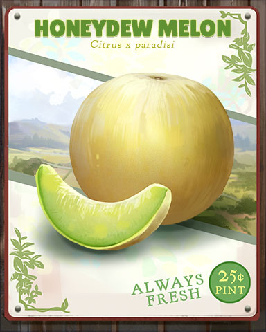 Honeydew Melon Produce Badge - StoryQuest